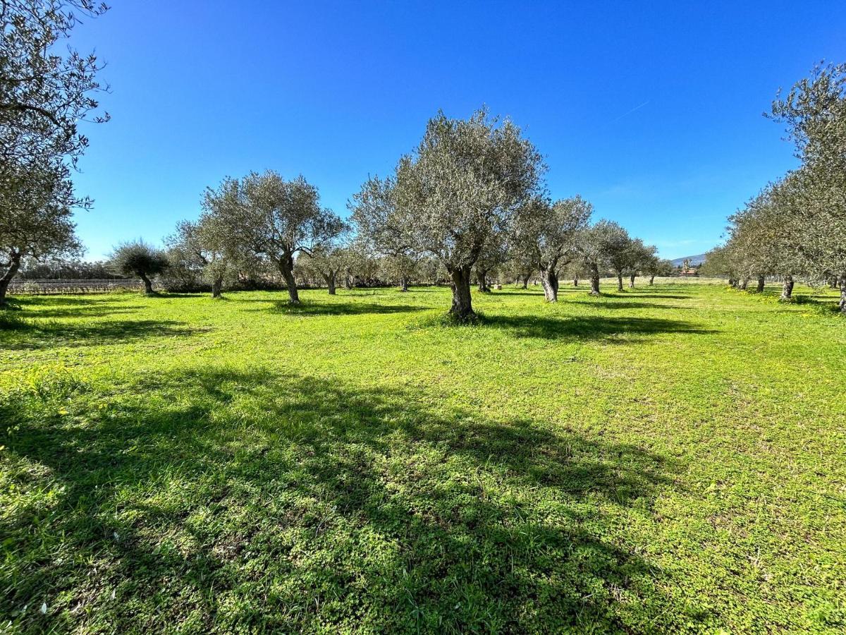 Willa Casa Del Mate Alghero Zewnętrze zdjęcie