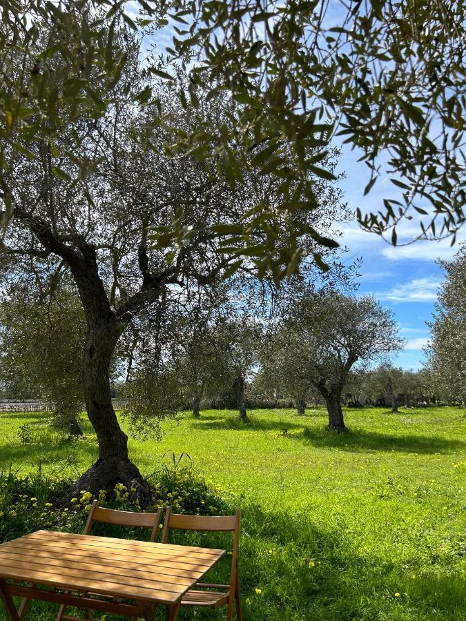 Willa Casa Del Mate Alghero Zewnętrze zdjęcie